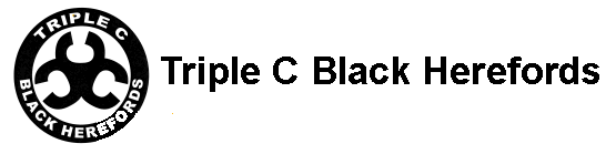 Triple C Black Herefords Logo